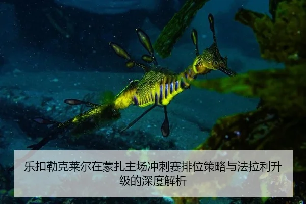 乐扣勒克莱尔在蒙扎主场冲刺赛排位策略与法拉利升级的深度解析