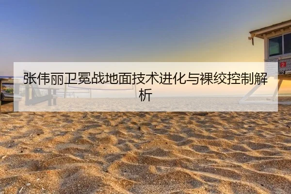 zhang-wei-li-wei-mian-zhan-di-mian-ji-shu-jin-hua-yu-luo-jiao-kong-zhi-jie-xi-2-713.jpg