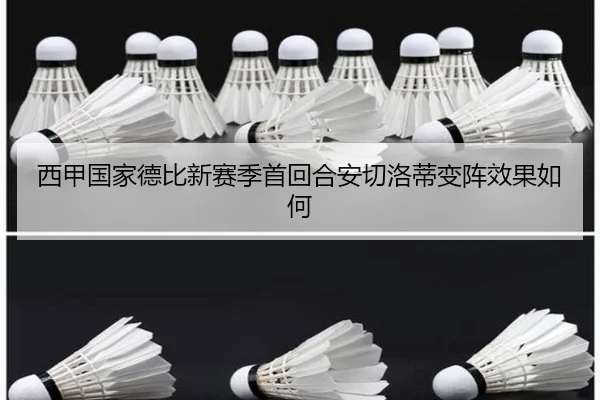 xi-jia-guo-jia-de-bi-xin-sai-ji-shou-hui-he-an-qie-luo-di-bian-zhen-xiao-guo-ru-he-2-549.jpg
