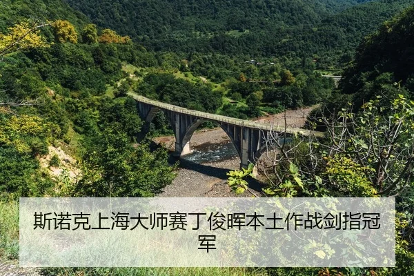 si-nuo-ke-shang-hai-da-shi-sai-ding-jun-hui-ben-tu-zuo-zhan-jian-zhi-guan-jun-2-575.jpg