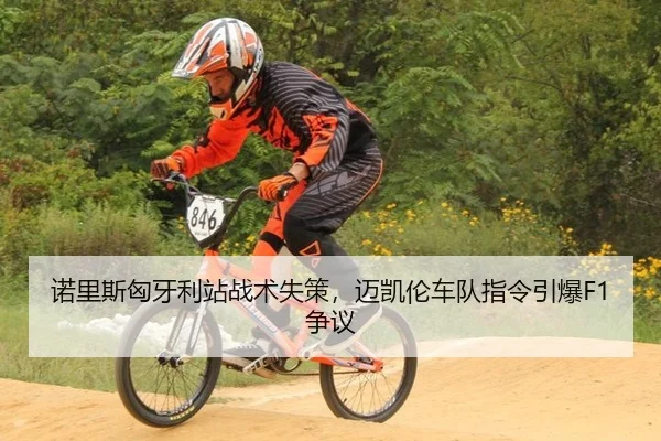 诺里斯匈牙利站战术失策，迈凯伦车队指令引爆F1争议
