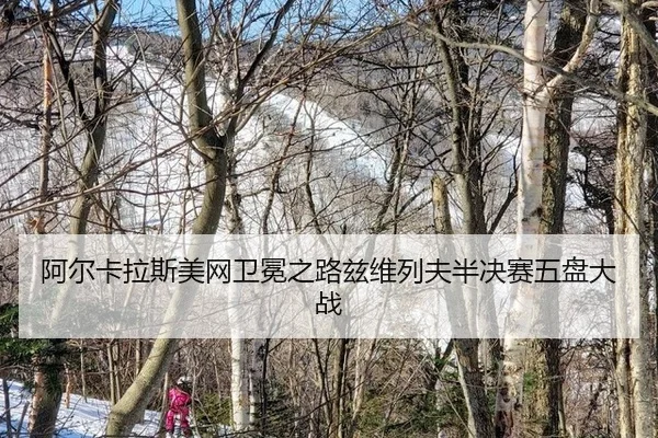 a-er-ka-la-si-mei-wang-wei-mian-zhi-lu-zi-wei-lie-fu-ban-jue-sai-wu-pan-da-zhan-2-450.jpg