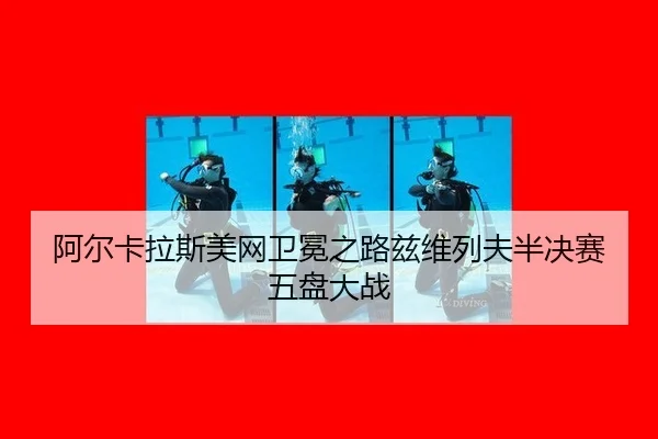 a-er-ka-la-si-mei-wang-wei-mian-zhi-lu-zi-wei-lie-fu-ban-jue-sai-wu-pan-da-zhan-3-475.jpg